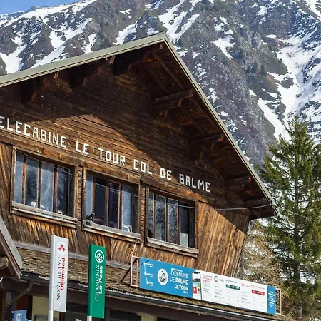 Apartment Bel'alp 17 - Happy